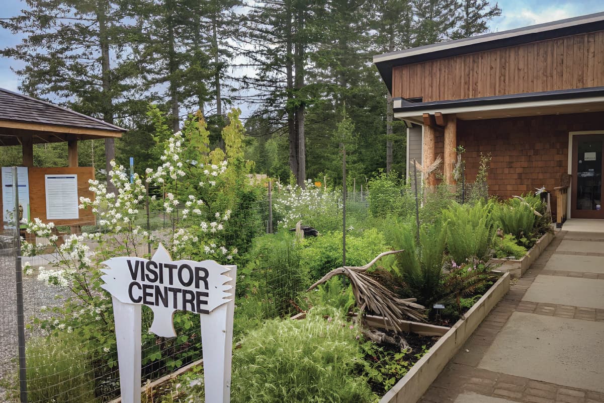 Visitor Centre Garden